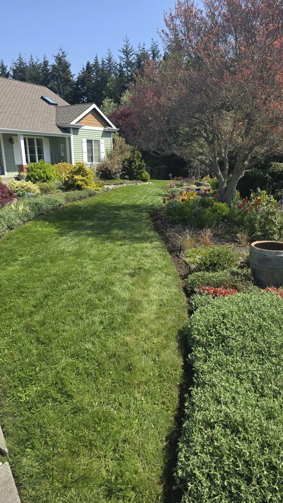 Landscape edging project by Saratoga Home Services & Landscaping