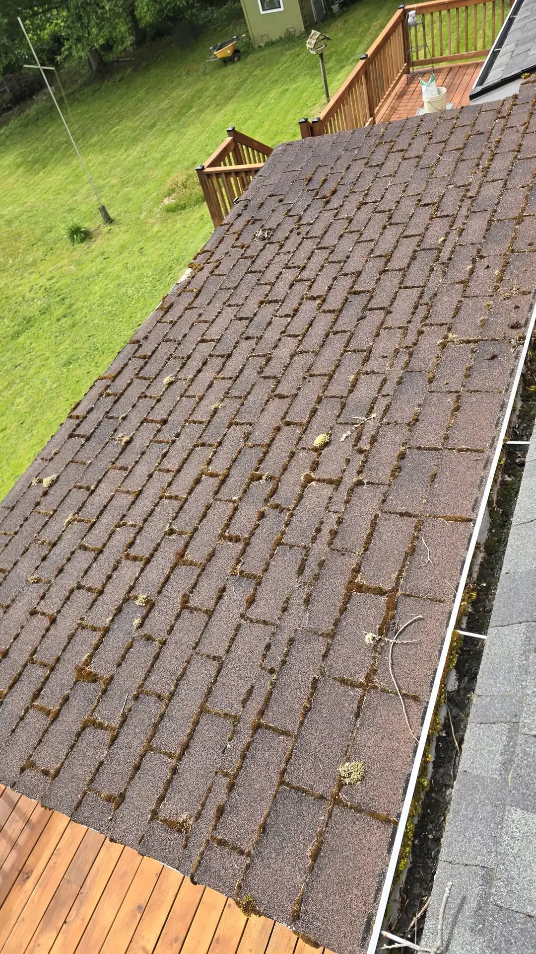 Roof cleaning project by Saratoga Home Services & Landscaping
