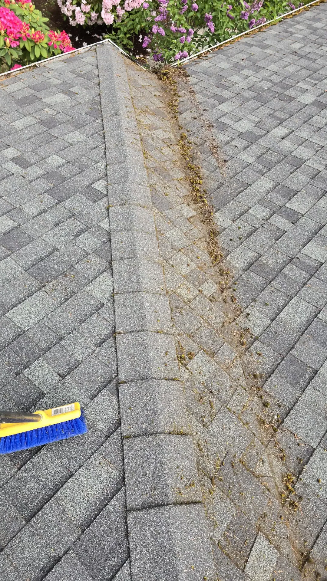 Roof cleaning project by Saratoga Home Services & Landscaping